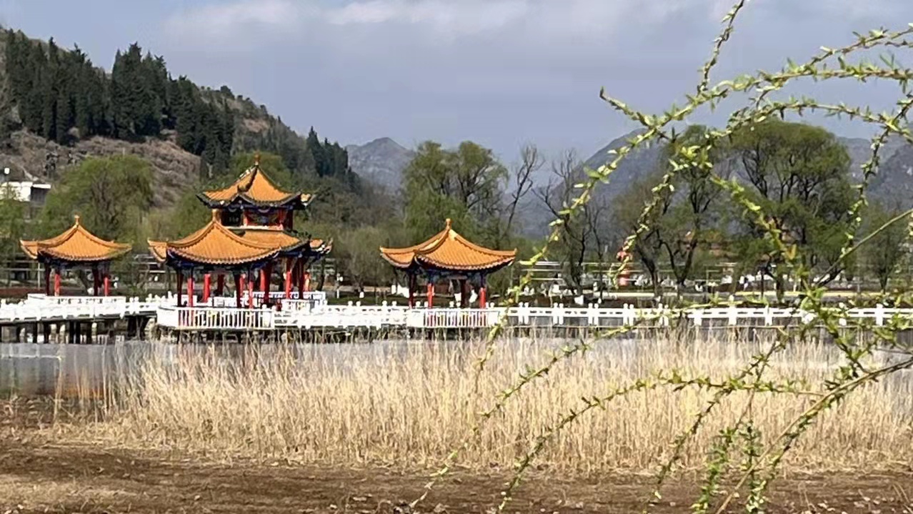 在我心底，把你油画般的风景收藏