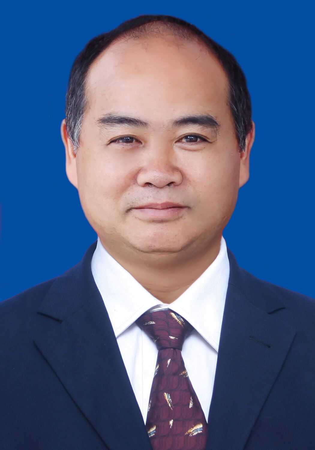 刘光书